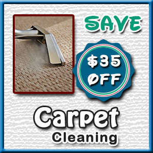 Carpet Offer